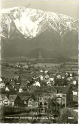 puchberg am schneeberg, ortsansicht