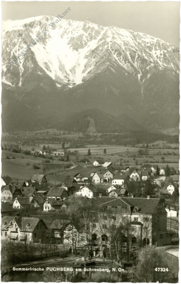 puchberg am schneeberg, ortsansicht puchberg am schneeberg, ortsansicht
