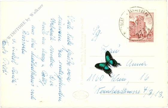 puchberg am schneeberg, kurpark mit himberg