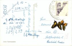 mönichkirchen, ortsansicht