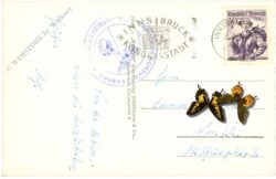 innsbruck, multiansicht