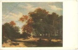 ruisdael: der große wald