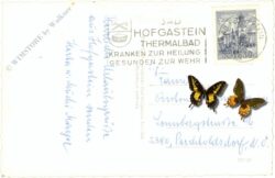 bad gastein, pochartsee mit hohe geisel