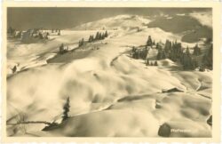 saalbach hinterglemm, pfefferalm