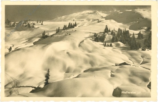 saalbach hinterglemm, pfefferalm
