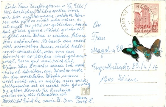 ramsau bei hainfeld, urlaubsheim annental