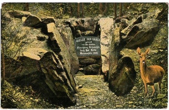zell im fichtelgebirge, quelle der saale