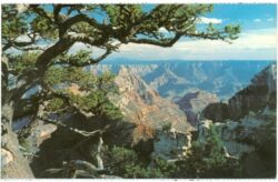 arizona, grand canyon from north rim