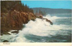 maine, acadia national park, northeaster