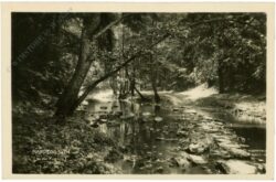hardegg an der thaya, ansicht