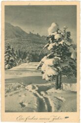 neujahr verschneiter wald