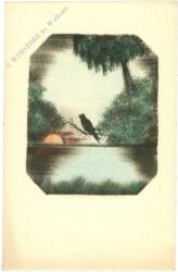 vogel auf ast