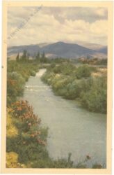 jordan, fluss nahe der quelle