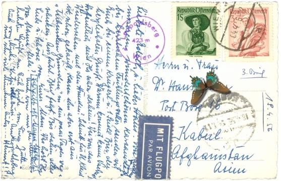 wien 19, leopoldsberg mit blick nach klosterneuburg und zur donau