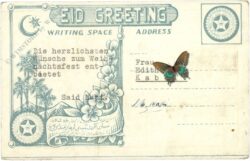 weihnachten blumen mit mond und sternen