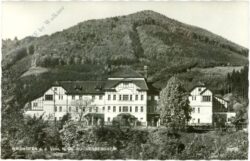 waidhofen an der ybbs, buchenbergheim