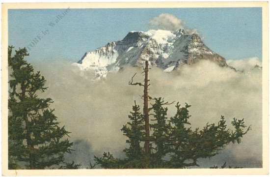 känelegg bei mürren, die jungfrau