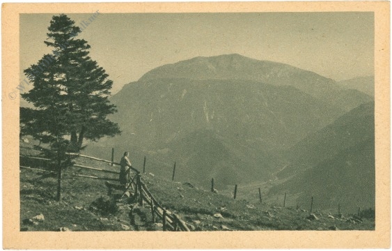 schwarzau im gebirge, waldfreundehütte, blick zum schneeberg