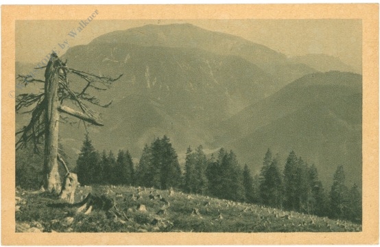 schwarzau im gebirge, blick vom obersberg zum schneeberg