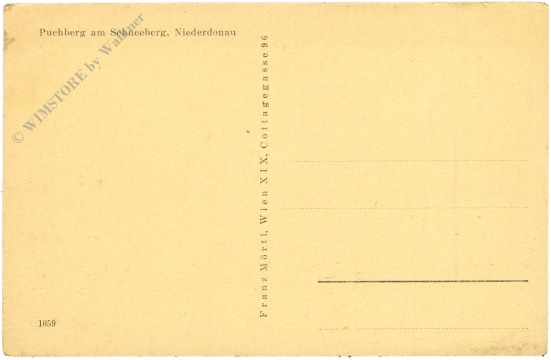 puchberg am schneeberg, ortsansicht