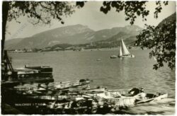 walchsee, ansicht