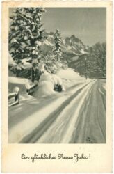 neujahr verschneiter weg