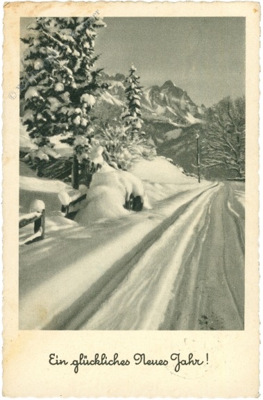 neujahr verschneiter weg