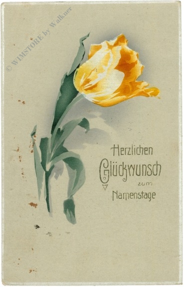 namenstag gelbe tulpe