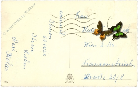 weihnachten glocke im fenster, eichhörnchen mit geschenkekorb