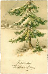 weihnachten verschneite tanne