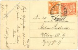 weihnachten verschneite tanne