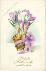 geburtstag krokusse