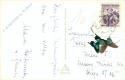 radstadt, ortsansicht