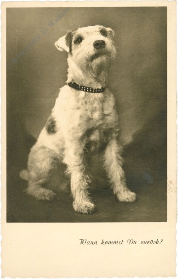 hund wann kommst du zurück?