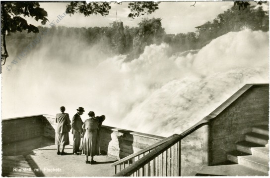 laufen, schloss, rheinfall mit fischetz