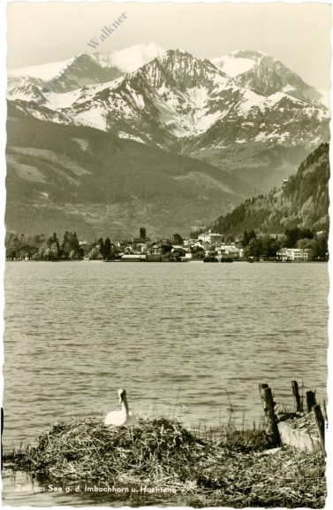 zell am see, gegen das imbachhorn und hochtenn