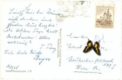 zell am see, gegen das imbachhorn und hochtenn