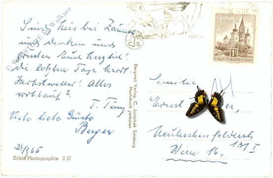 zell am see, gegen das imbachhorn und hochtenn