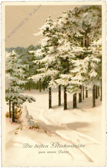 neujahr verschneiter weg