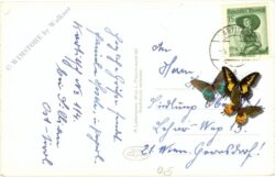 kartitsch, ortsansicht