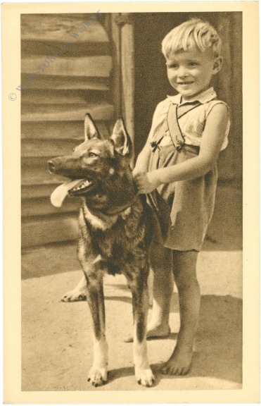 hund, mit kind