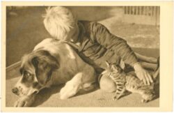hund, mit kind und katze
