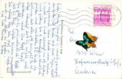 tannheim, ortsansicht