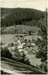 puchenstuben, ortsansicht