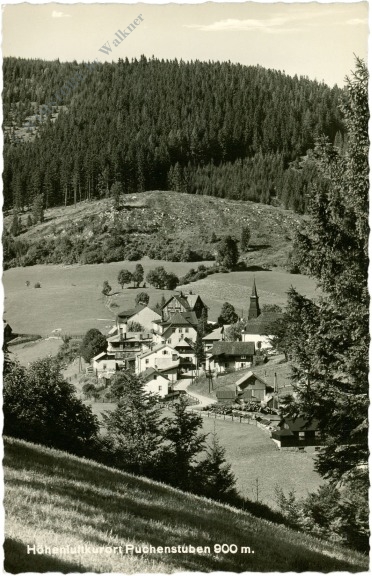 puchenstuben, ortsansicht