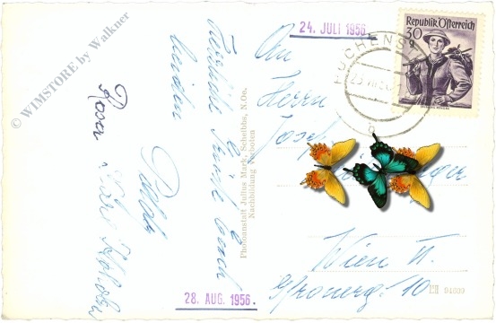 puchenstuben, ortsansicht