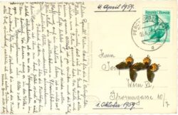 perchtoldsdorf, pfarrkirche und türkenturm