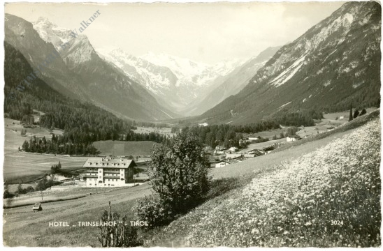 trins, hotel trinserhof