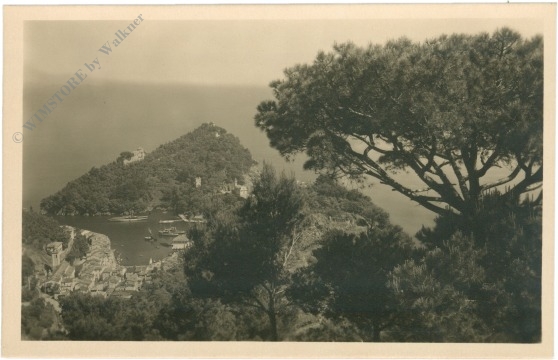 portofino mare, panorama