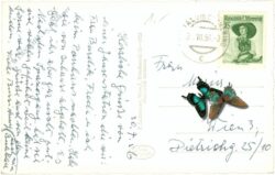 semmering, hotel panhans mit rax